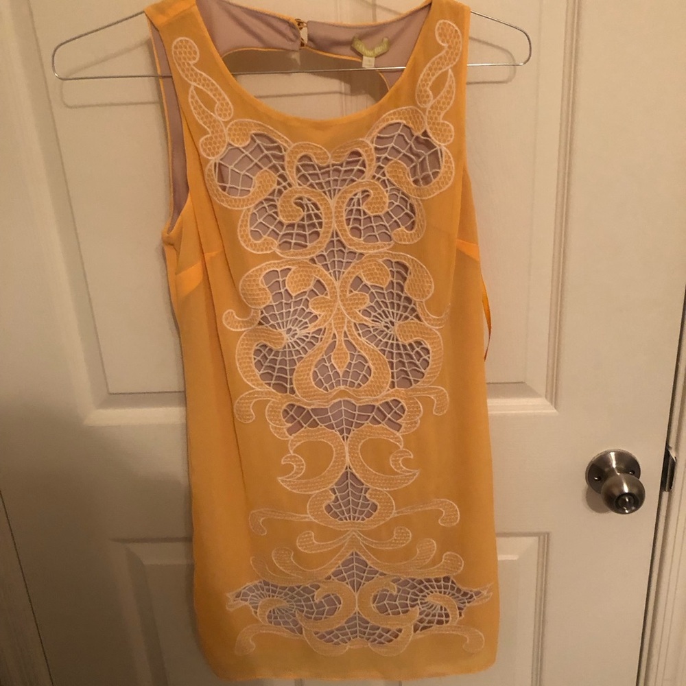 Golden-rod  yellow Gianini Bini dress with beautiful embroidery.(New with tags)